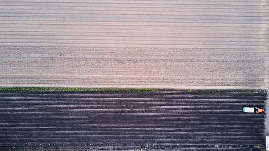 farming, field, farm, farmer thumbnail