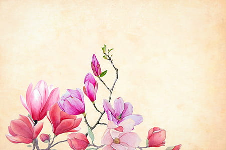 pink flowers over textures light background thumbnail