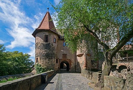 green leafed tree near castle thumbnail