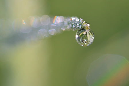 micro photography of water dew thumbnail