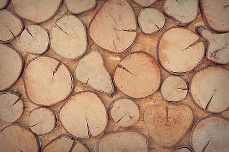 brown tree chunk lot thumbnail