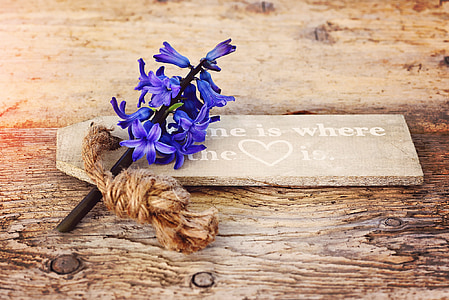 purple flowers on top of signage thumbnail