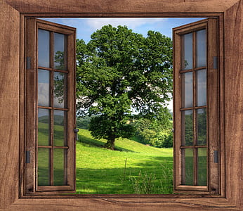 closeup photography of brown wooden open window front of green leaf tree thumbnail