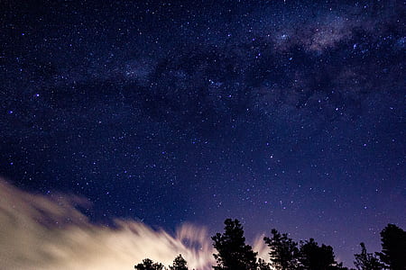 trees under starry skies thumbnail