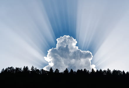 clouds on forest thumbnail