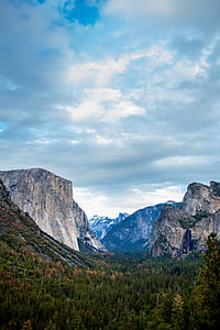 rocky mountain with green trees under white cloudy sky thumbnail