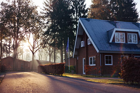 close up photography of brown and white house with attic near pine trees with sun ys thumbnail