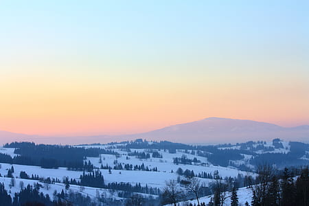 landscape photo of trees and mountains during golden hour thumbnail