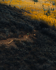 person on bike going downhill in forest thumbnail