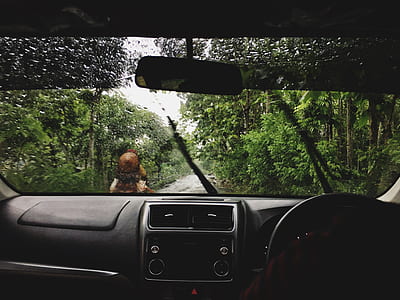 black vehicle interior thumbnail