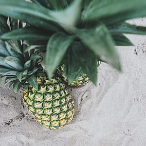 two pineapples thumbnail