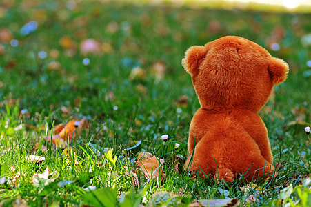 brown bear cub plush toy placed on green grass plant thumbnail
