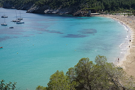 people on beach during daytime aerial photography thumbnail