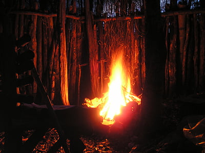 lighter fire between trees thumbnail