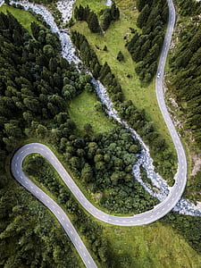 bird's eye view of forest and road thumbnail