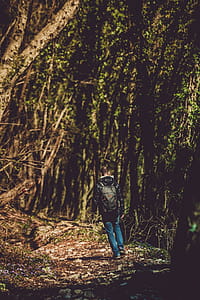 Photo of Man Walking in the Forest thumbnail