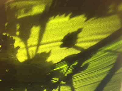 shadow, sunlight, light, green thumbnail
