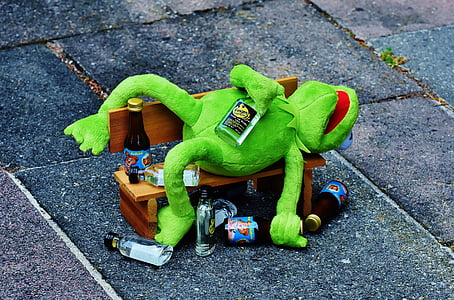 Kermit the frog plush toy on bench during daytime thumbnail