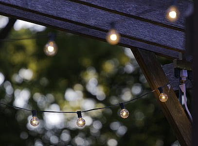 selective focus string light thumbnail