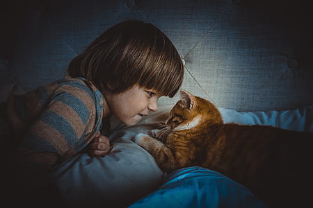 boy and cat lying on bed thumbnail