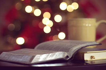 tilt shift lens photography of book beside mug thumbnail