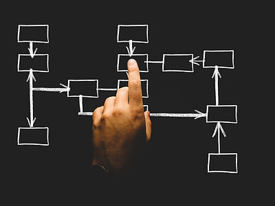 Organization, Organization Chart thumbnail