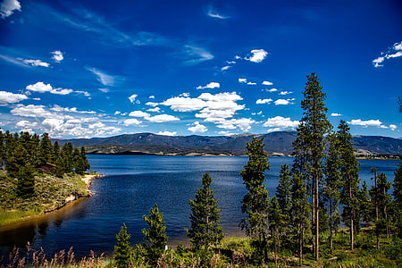 green trees near body of water under white clouds thumbnail