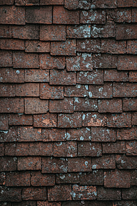 brown shingles roof thumbnail