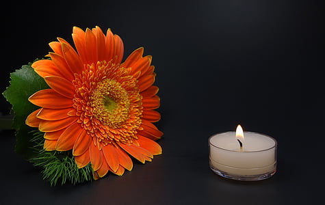 sunflower beside lighted white tealight candle thumbnail