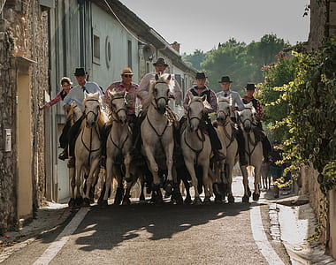 men riding horse on grey concrete alley in between buildings during daytime thumbnail