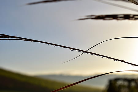 drop of water, back light, mood, sky, drip, water thumbnail