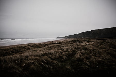 brown grass field at daytime thumbnail