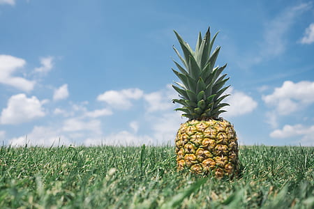 macro photography of pineapple fruit during daytime thumbnail
