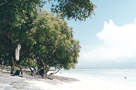 beach during daytime thumbnail