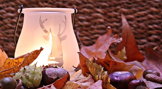 white frosted glass vase with light on leafy surface thumbnail