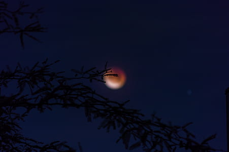 photo of full moon thumbnail
