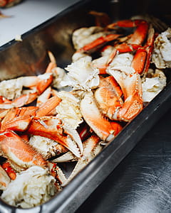 crabs on top of stainless steel tray thumbnail