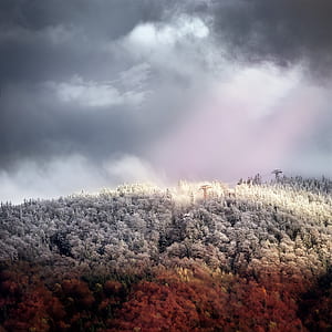 landmark photography of gray and white tree field under white and gray cloudy skies thumbnail