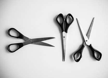 flat photography of three scossirs thumbnail