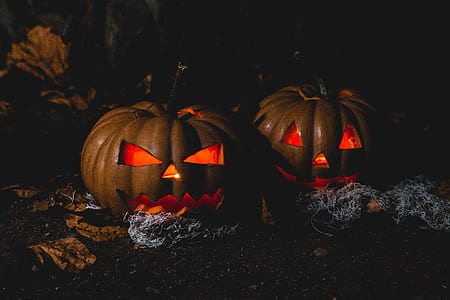 lights, night, dark, decoration thumbnail