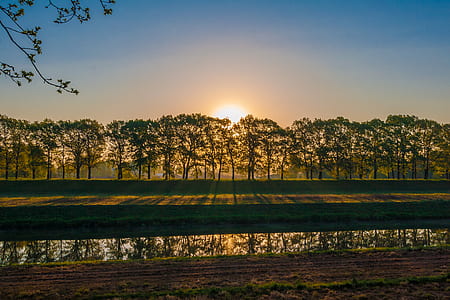 wood, light, dawn, landscape thumbnail