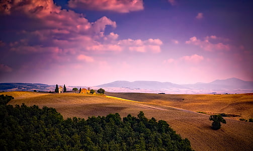 green trees under blue sky thumbnail