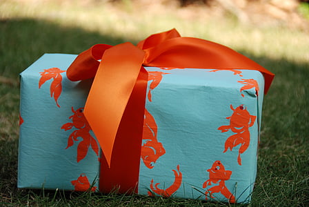 teal and orange fairy print gift box on the ground thumbnail