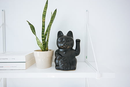black and gray manekineko beside green viperplant on desk thumbnail