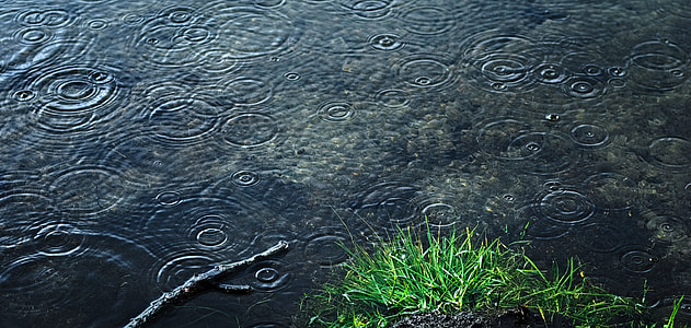 photo of body of water with droplets thumbnail