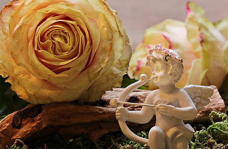 cherub figurine behind yellow petaled flower thumbnail