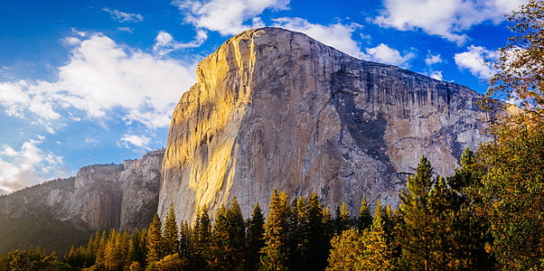 low-angle photography of mountain and trees at daytime thumbnail