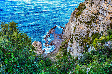 high-angle photography of trees on cliff near body of water thumbnail