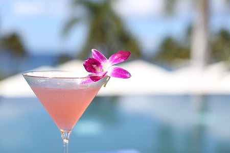 pink wine glass with pink liquid thumbnail