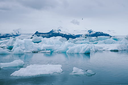 landscape photography of melted iceberg thumbnail